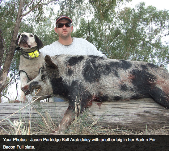 Screen Shot 2013-10-02 at 1.34.22 PM